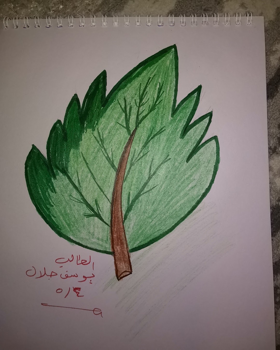 يوسف أمان الله