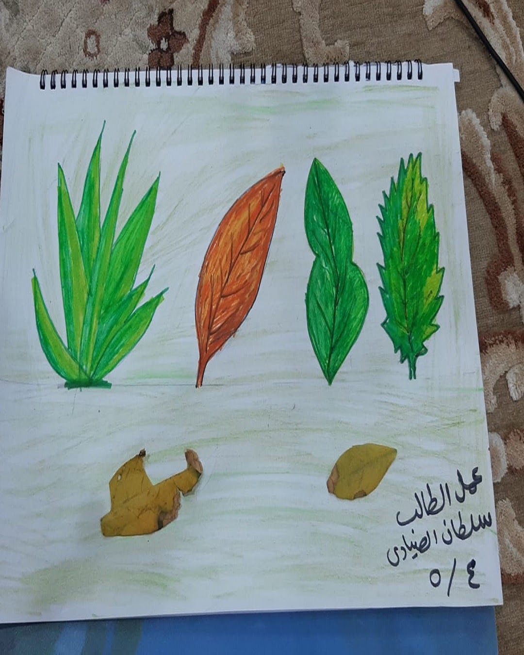 عبدالعزيز الباشا