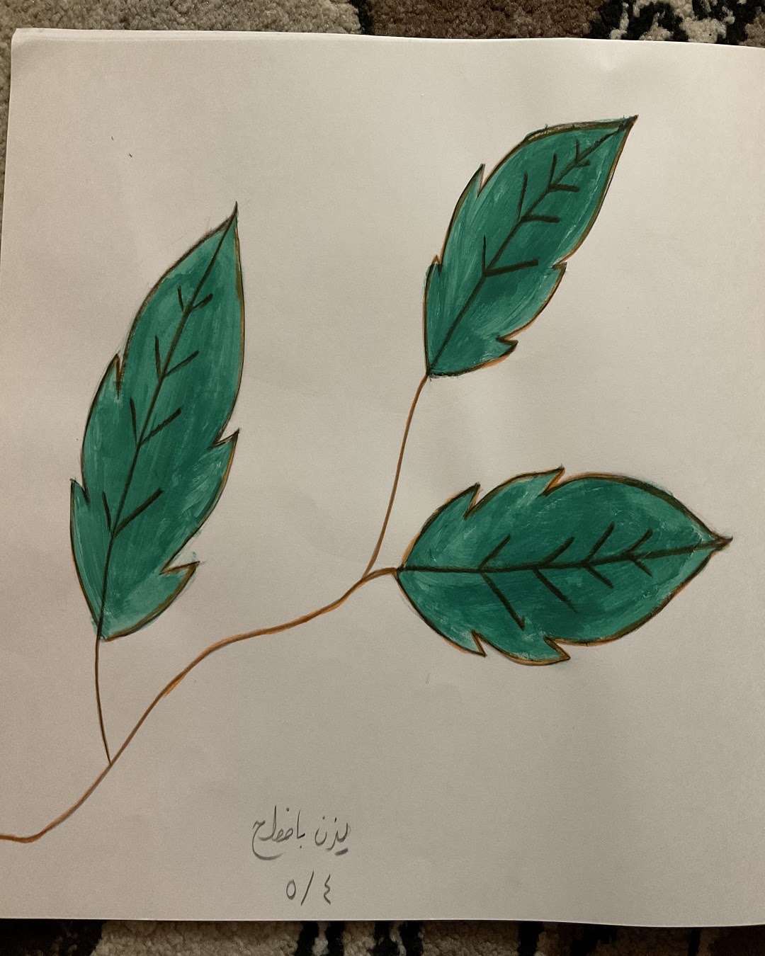 سلطان الصيادي