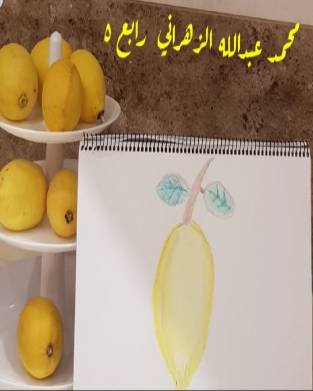 محمد أحمد الحربي