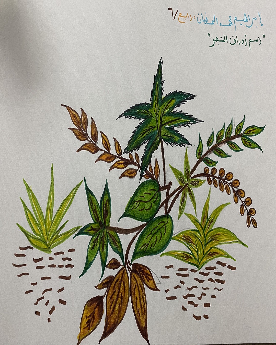 يزن الغامدي