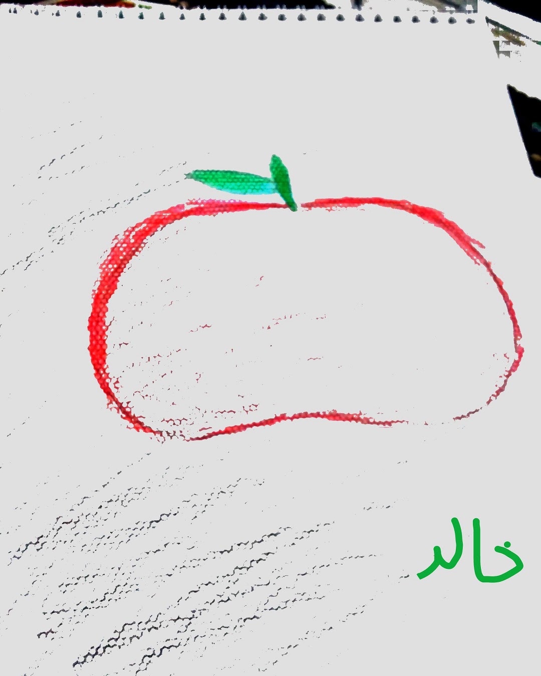 وسيم بدير