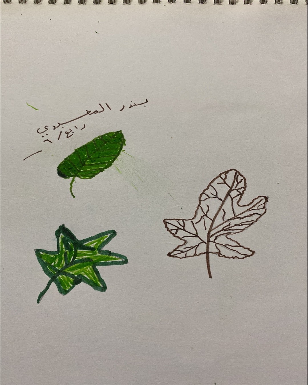 حسن قواص