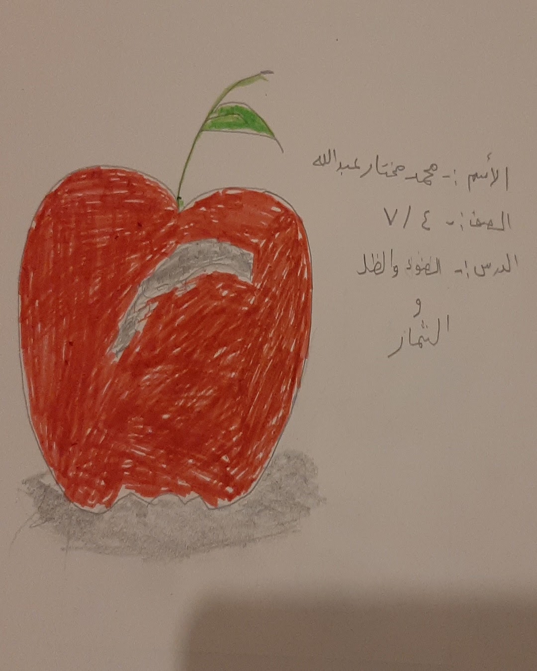 فيصل وليد
