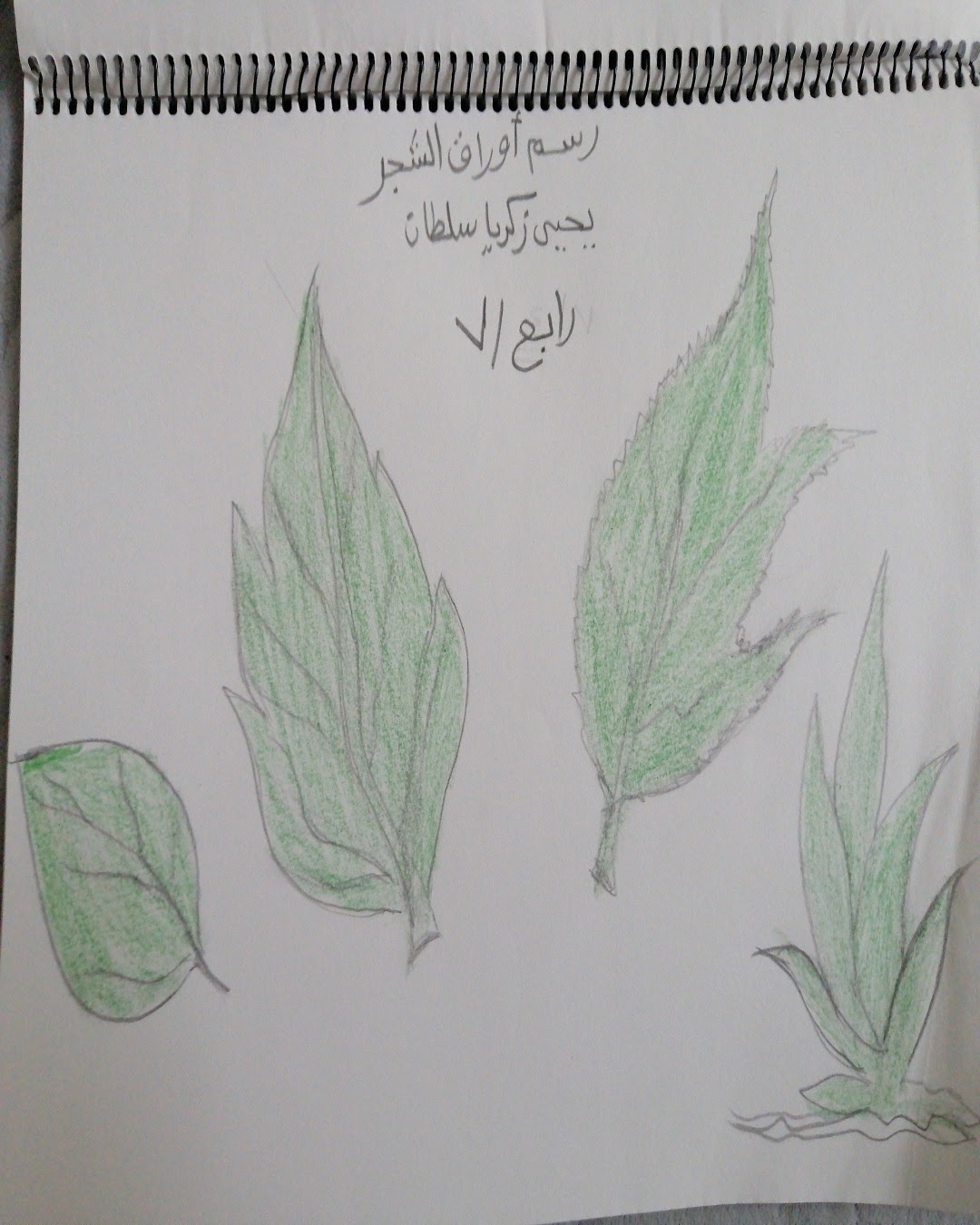 نايف العمري