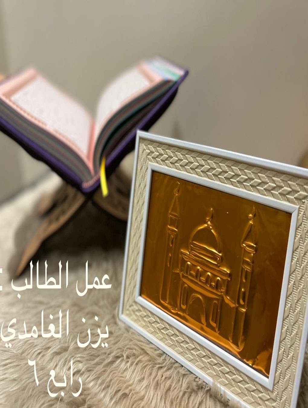 وسيم بدير الرابع ٦