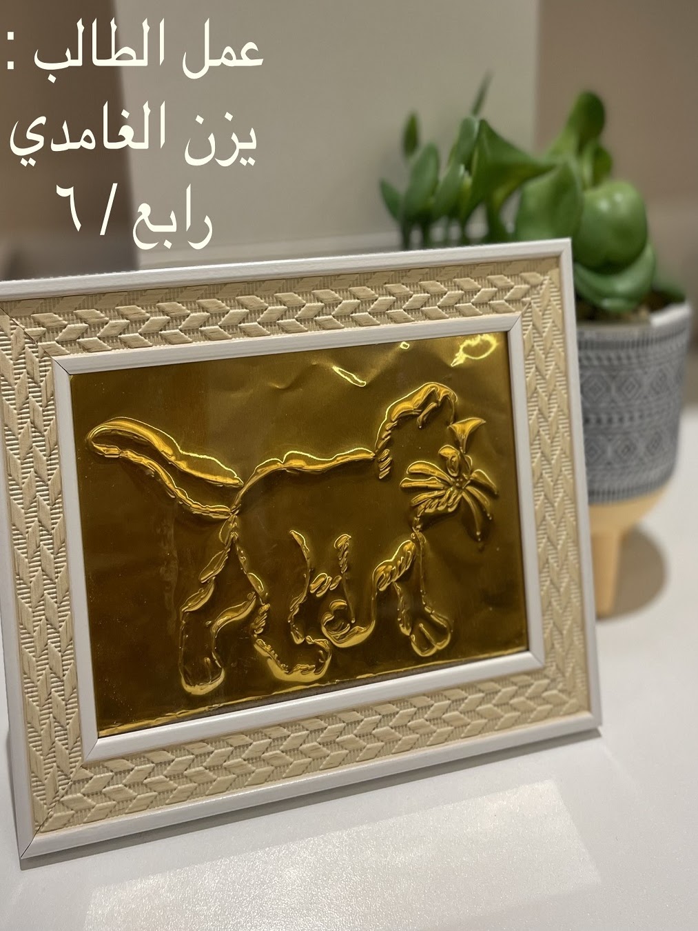 محمد هندي الخامس ٢