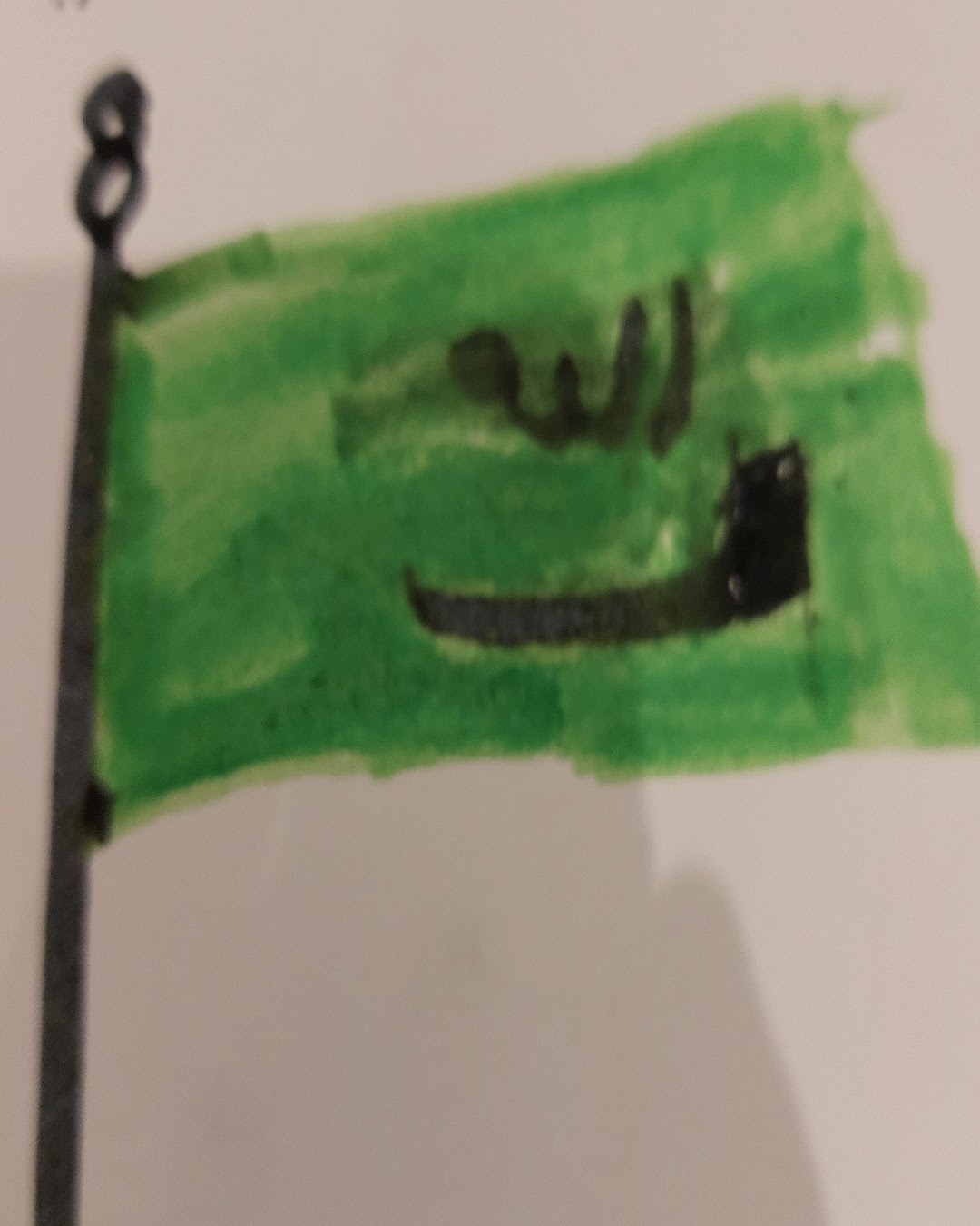 وسام سعيد الصف الخامس/ 1