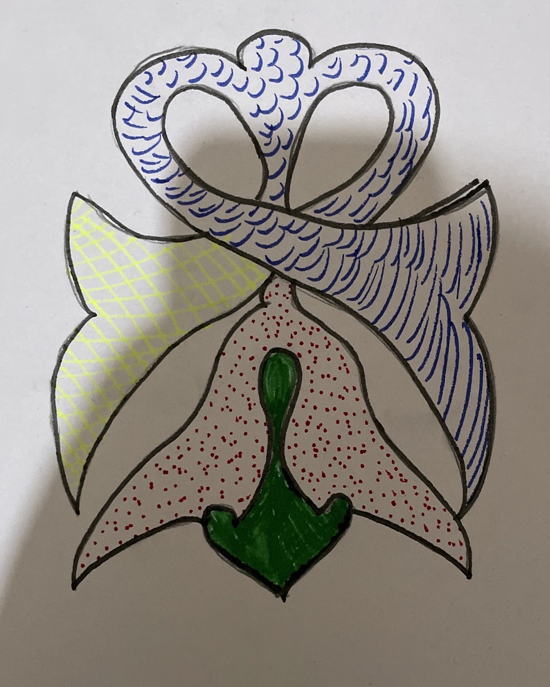 أحمد العمري الخامس / 3