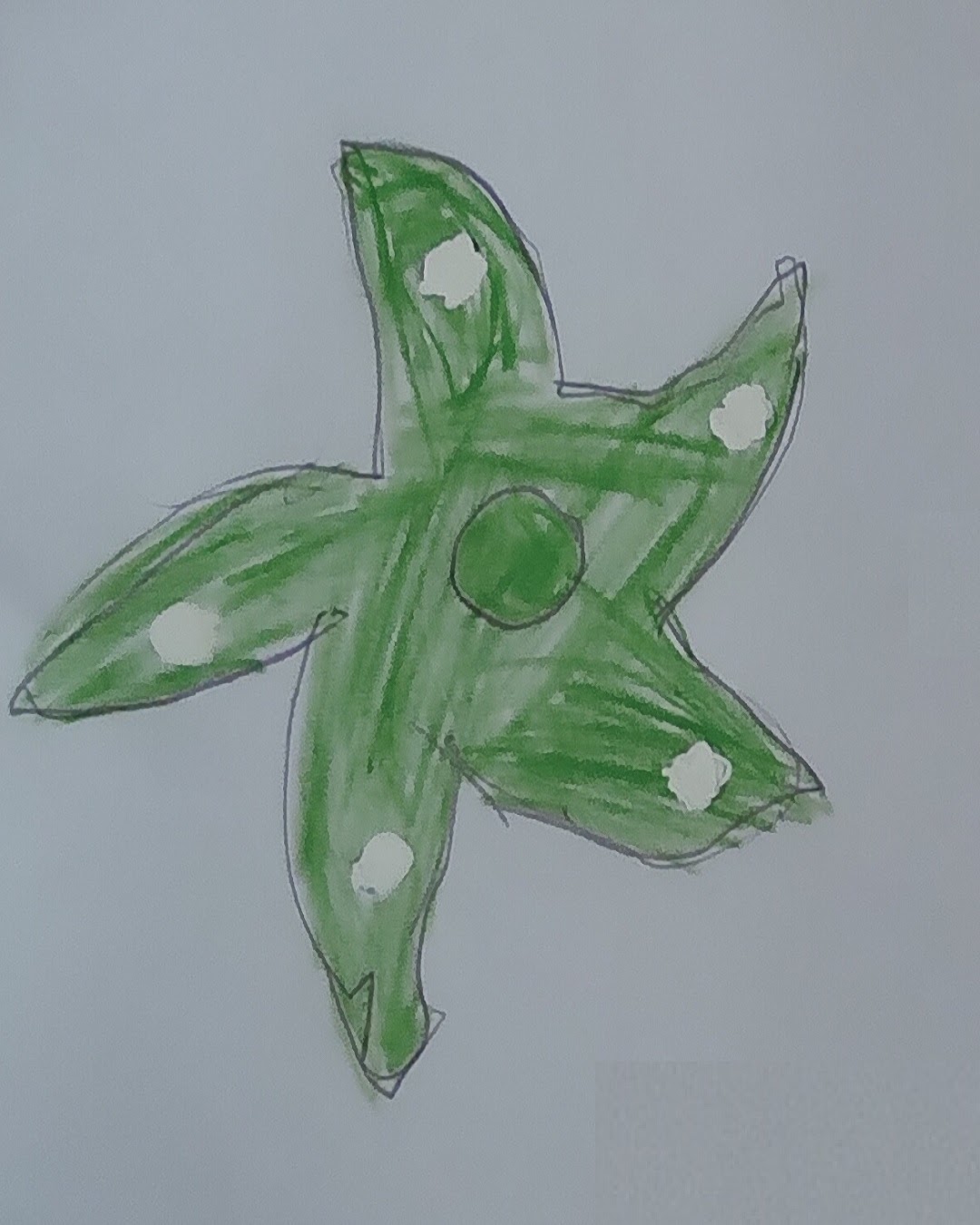 محمد حمزة الكسم الخامس / 3